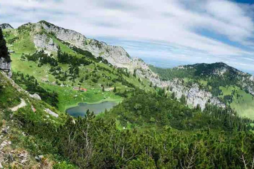Topmodernes Studio - Sommer Im Bayerischen Inntal 布兰嫩堡 外观 照片